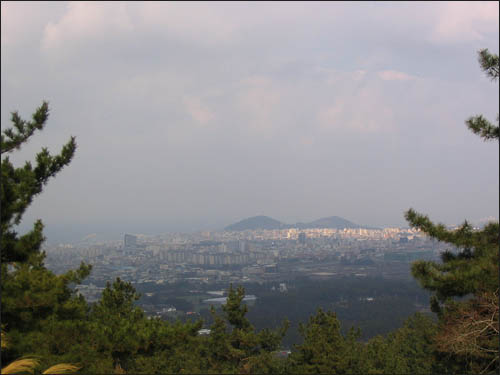 민오름 정상에서 본 사라봉과 제주시 풍경 